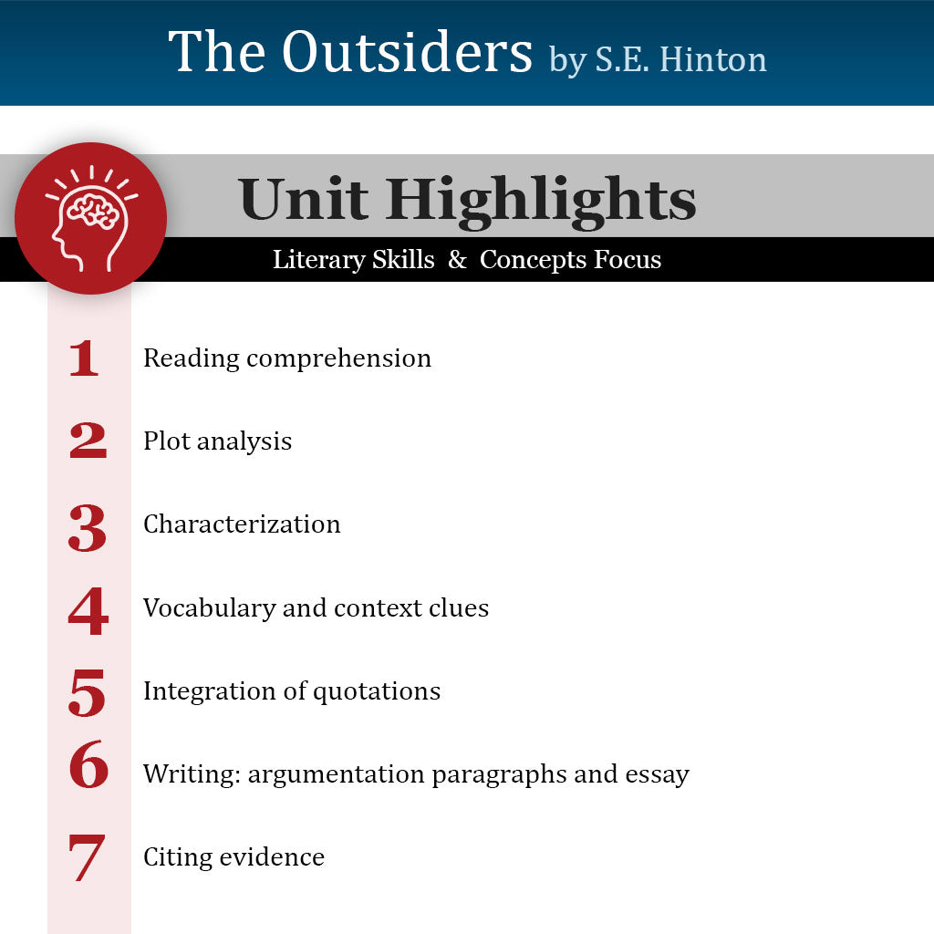 The Outsiders Unit with Daily Lesson Plans