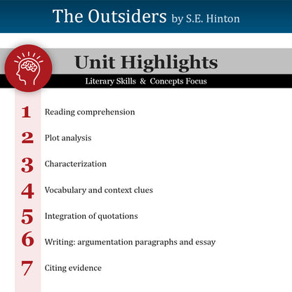 The Outsiders Unit with Daily Lesson Plans