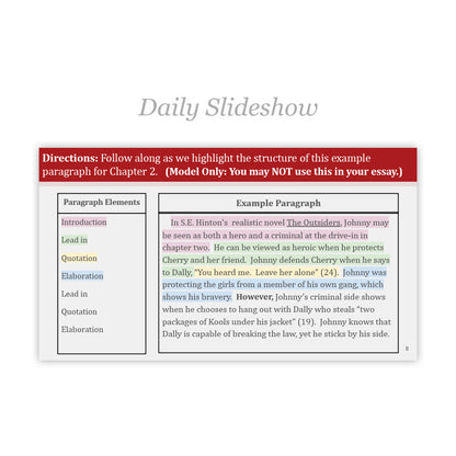 The Outsiders Unit with Daily Lesson Plans